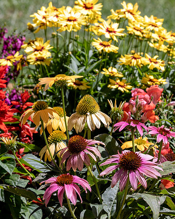 flower-011 A copy