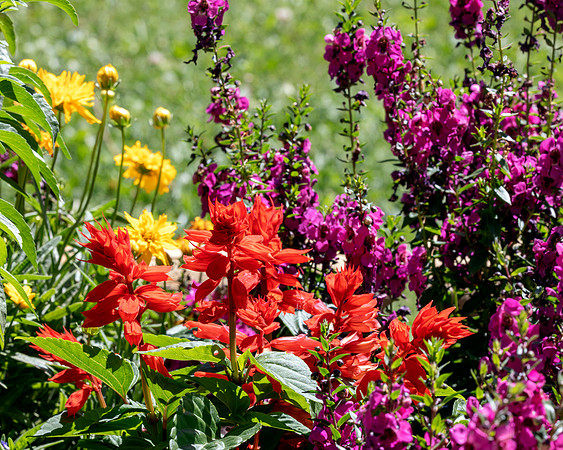 flower-030 A copy